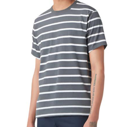 Dickies Skateboarding Mini Striped Charcoal T-Shirt